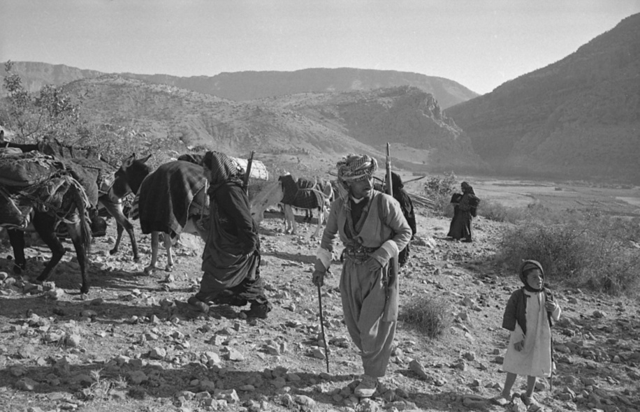 1958: Dr Luigi Mara spent the last four years in a relentless mosquito hunt all across malaria-ridden Kurdistan in Iraq. He managed to win the confidence of the Kurds, and was known among them as 