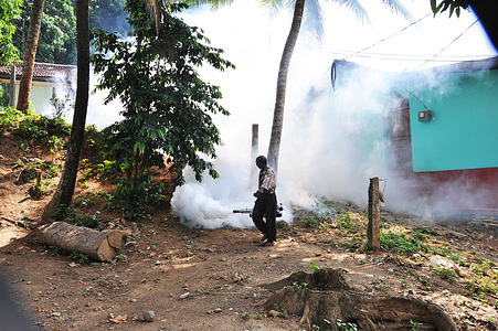 Dengue eradication in Sri Lanka.