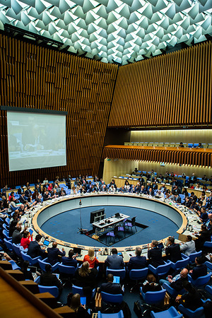 View of the 145th Session of the WHO Executive Board.