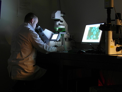 Laboratory worker using a microscope and computer in a virology lab used for research on insect-borne human and animal viral infectious diseases, vaccine development, and baculovirus functional genomics.