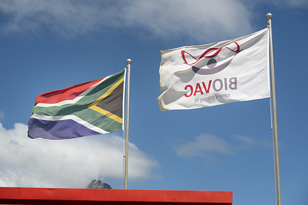 On 10 February 2022, a view from the exterior of Biovac in Cape Town, South Africa. The company is the first manufacturing spoke for the mRNA vaccine technology transfer hub.  Announced on 21 June 2021, the objective of the technology transfer hub is to build capacity in low- and middle-income countries to produce mRNA vaccines through a centre of excellence and training (the mRNA vaccine technology hub). The hub is located at Afrigen, Cape Town, South Africa, and will work with a network of technology recipients (spokes) in low- and middle-income countries.  The South African hub comprises Afrigen Biologics, the South African Medical Research Council (SAMRC) and Biovac, a South African vaccine producer. Within this consortium, Afrigen is the entity mandated to establish mRNA vaccine production technology, SAMRC is providing the research and Biovac is the first manufacturing spoke.  The initiative is supported by WHO, the Medicines Patent Pool and the Act-Accelerator/COVAX. Read more: https://www.who.int/initiatives/the-mrna-vaccine-technology-transfer-hub .