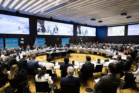 Overall view of then 153rd session of the WHO Executive Board, 31 May 2023 The Executive Board is composed of 34 technically qualified members elected for three-year terms. The main functions of the Board are to implement the decisions and policies of the Health Assembly, and to advise and generally facilitate its work.