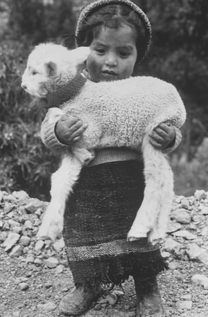 A little Peruvian girl holding a lamb.