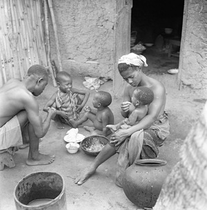 Affiaman is a typical Ghanaian village, to the east of Accra, in the interior of the country. It has 200 inhabitants, who all live on the land. In Affiaman, life has changed little for centuries. Amoo Kodjoe, 40-year-old, owns some land on which he cultivates "cassava" (sweet potatoes), corn and fruit. He inherited his 1.5 km2 (nearly a square mile) of land from his father and lets out a large part of it to the villagers. A number of village council he deputizes for the chief in the latter's absence. Kodjoe has a wife, Afadua, aged 30 years and 3 children: Darku,7, Otinkrano, 3 and Otinkronna, 5 months. All inhabitants of Affiaman are pagan.  The right food at the right moment for all members of the family will avoid wasting.