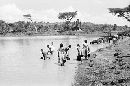 Water is essential for life. The amount of fresh water on earth is limited, and its quality is under constant pressure. Preserving the quality of fresh water is important for the drinking-water supply, food production and recreational water use. Water quality can be compromised by the presence of infectious agents, toxic chemicals, and radiological hazards. Guinea-worm can be prevented by providing safe drinking water or by teaching people to filter or boil their water.