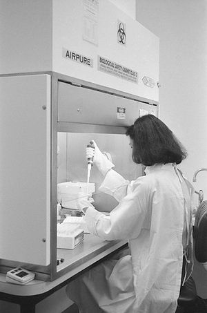 At the national AIDS reference laboratory (Fairfield Hospital, Melbourne, Australia) - which is a WHO collaborating centre for AIDS and related diseases - a scientist undertaking a test to detect antibodies to the AIDS virus in patients serum.