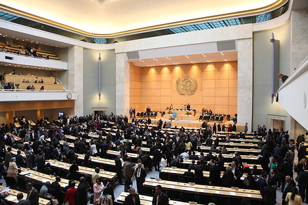 General view during the First plenary meeting, in the Assembly Hall.
