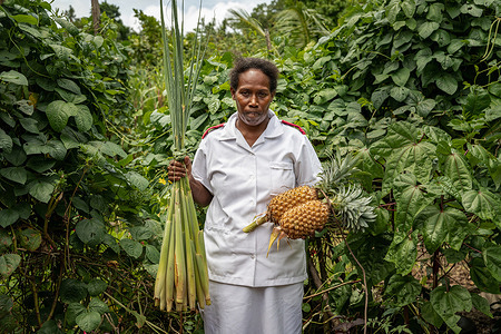 Virginia, a nurse and NCD coordinator, holds pineapple and wheat from her garden in Tulagi, Solomon Islands on 5 March 2021. As part of her work with NCD patients, Virginia keeps a garden on the hospital grounds and shares seeds or “starts” for vegetables with her patients, while educating them on nutrition and healthy eating. - In Solomon Islands, WHO recognised that health systems needed to develop to accommodate a rise in noncommunicable diseases or NCDs in the region. Previously, health programs were mostly designed to treat patients with acute conditions or diagnosis. However, the increase of NCDs like cardiovascular disease, diabetes, cancer and chronic lung diseases pose a grave threat to regional and national health and development. Working hand in hand with the Ministry of Health and the provincial governments, WHO helped design a program that would respond to the rise in NCDs in the region. The program aims to provide better overall care for patients, including screenings as well as prevention and treatment of NCDs, primarily cardiovascular diseases related to diabetes, hypertension, obesity, etc. Known as the PEN (Package of Essential Noncommunicable Disease Interventions) program, this approach considers the patient's whole being and lifestyle, not just specific ailments, and emphasises wellness and prevention activities. Additionally, WHO promotes integration of multiple health services, and the PEN program integrates TB (Tuberculosis) screenings as it screens for NCDs. The PEN program was started at WHO headquarters in Honiara but is now led by provincial NCD coordinators who have taken ownership of the program. Virginia Legaile, based in Tulagi (about a 1.5 hour boat ride from Honiara), is one of these provincial NCD coordinators. She previously worked as a nurse in an outpatient clinic, but after embracing the NCD screening of patients that was incorporated as part of the PEN program, the medical director increased her hours to see NCD patients from one to five days a week. Virginia is one of twelve NCD Coordinators across the country who, along with her peers, has also started the first paper medical file system in the entire country.